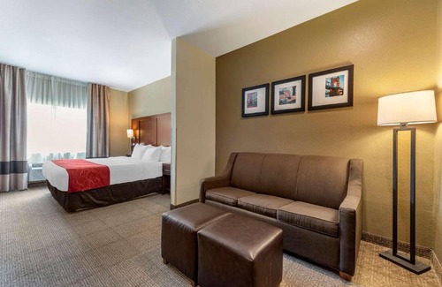 Mason Hotel | Comfort Suites Mason near Kings Island