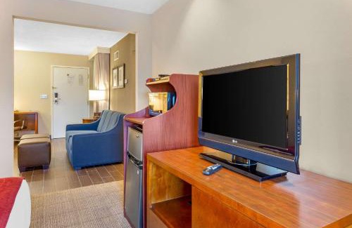 Oakbrook Terrace Hotel | Comfort Suites Oakbrook Terrace near Oakbrook Center