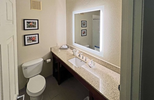Peoria Hotel | Comfort Suites Peoria Sports Complex