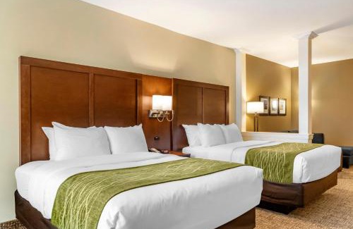 North San Antonio - SAT Hotel | Comfort Suites San Antonio Ft Sam Houston-SAMMC Area