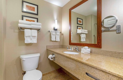 Sarasota Hotel | Comfort Suites Sarasota - Siesta Key