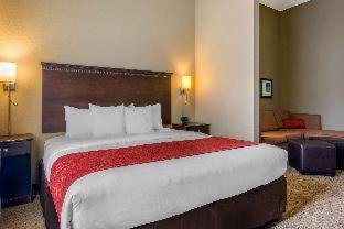 Bee Ridge Hotel | Comfort Suites Sarasota-Siesta Key