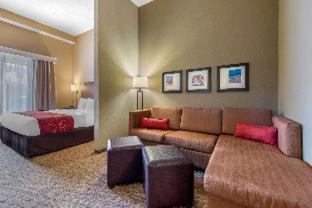 Bee Ridge Hotel | Comfort Suites Sarasota-Siesta Key