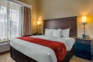 Bee Ridge Hotel | Comfort Suites Sarasota-Siesta Key