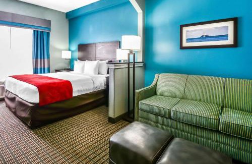 Tampa Hotel | Comfort Suites Tampa - Brandon