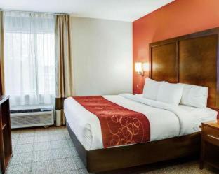 Tyler Hotel | Comfort Suites Tyler South