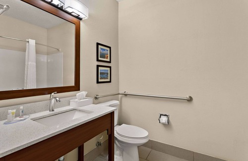Mesilla Park Hotel | Comfort Suites University Las Cruces