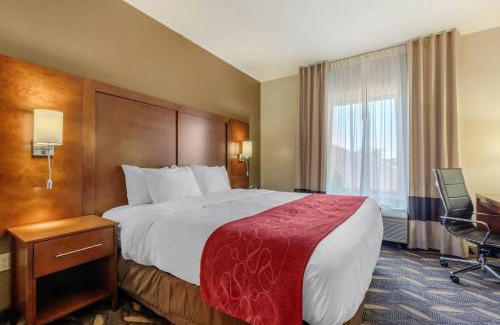 Rolla Hotel | Comfort Suites