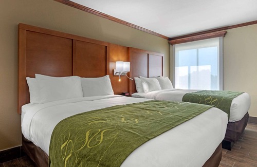 Claiborne Hotel | Comfort Suites West Monroe near Ike Hamilton Expo Center