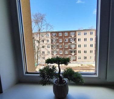 Pohja-Tallinn Apartment | Comfortable Apartment Gerbera Tallinn