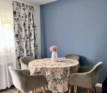 Baia Mare Apartment | Comfortable Baia Mare Apartment
