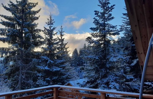 Seyne Ski Chalet | Comfortable chalet, ski, chabanon, 6 people