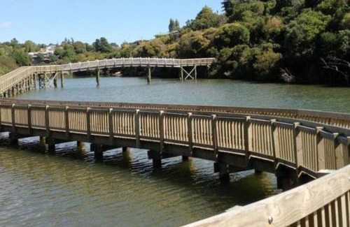 Orakei Apartment | Comfortable Cosy Apartment