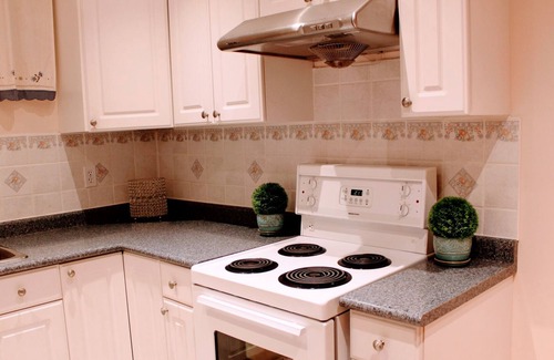 Old East York Apartment | Comfortable, Sweet Basement Apartment Close to Transit, Restaurants & Amenities
