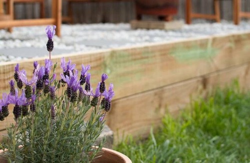 West Launceston Apartment | Comfortable Town House Near City
