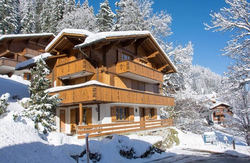 Adelboden Apartment | Comfortable vacation apartment in a quiet location, close to the center.