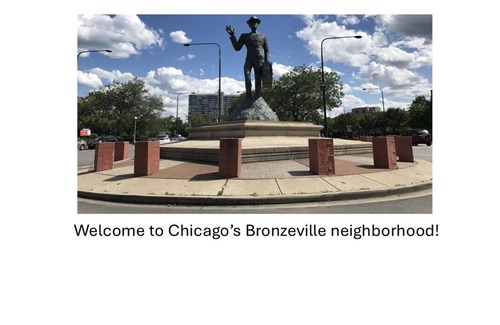Douglas Apartment | Coming Soon! Chic 2-bedroom apartment in beautiful Chicago. 30+ Day Stays Only
