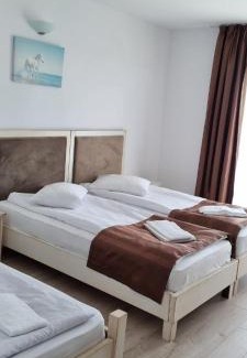Zarnesti Resort | Complex Panicel