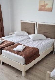 Zarnesti Resort | Complex Panicel