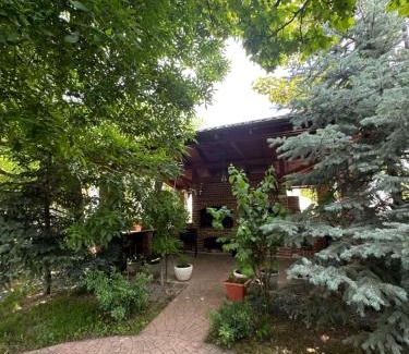 Ip House | Complex Trans Bitum