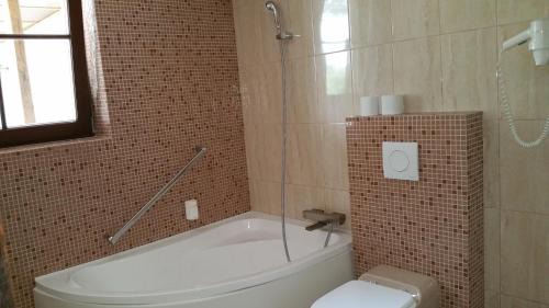 Balta Alba House | Conacul Balta Alba