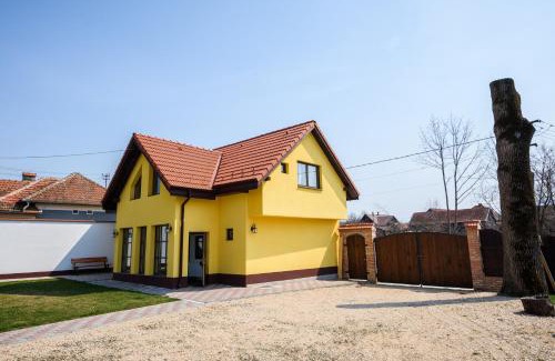Dragus Villa | Conacul lui Radu