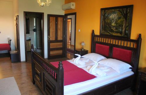 Sfantu Gheorghe Hotel | Conacul Nagy