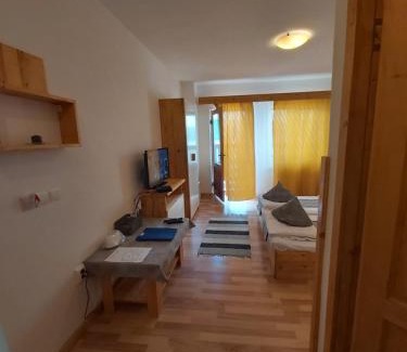 Svinita House | CONACUL SARBESC