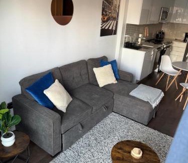 Downtown Montreal Apartment | Condo in the heart of downtown Montreal