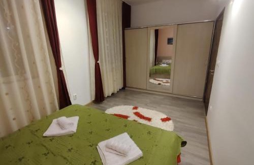 Arad Apartment | Confort Apartment