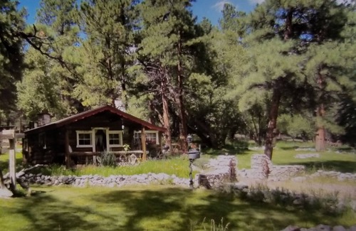 Nathrop Cabin | Connie's Mountain Orchid Cabin is on the Colorado Trail with horse facilities