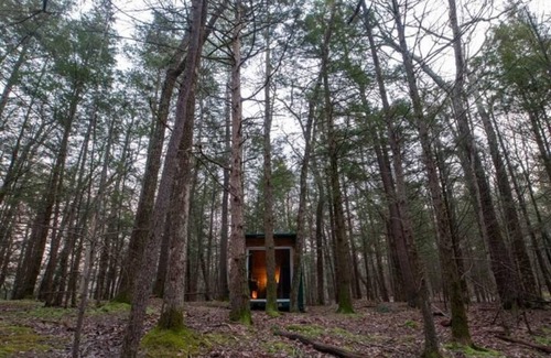 Saugerties Cabin | Container Cabin in the Catskills [Field]