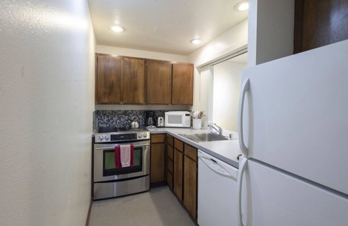 Glacier Condo | Contemporary MT BAKER Condo