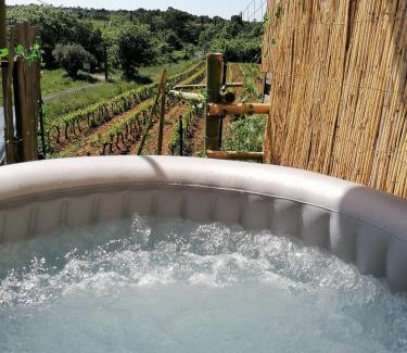 Massillargues-Attuech Apartment | Conteneur avec spa privé face aux vignes