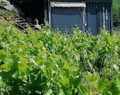 Massillargues-Attuech Apartment | Conteneur avec spa privé face aux vignes