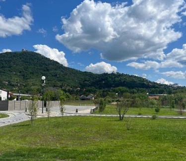 Vrsac Apartment | Conty