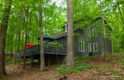 Berkeley Springs Cottage | Coolfont 4 BDRM, lots of beds! Cozy Wooded Cottage.