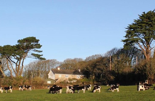 Saint Erth Praze Bed & Breakfast | Coombe Farmhouse