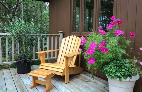 Chester Cottage | Cooperage Cottage - Peaceful & Family Friendly, Oceanfront