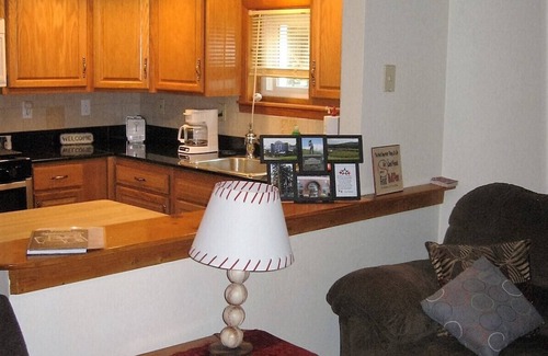 Oneonta Apartment | Cooperstown Baseball Rentals - Elm-Double Play #1