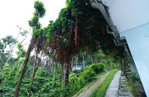 Somvarpet House | Coorg Sana Riverside