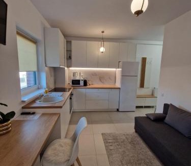 Baia Mare Apartment | Cora Apartment