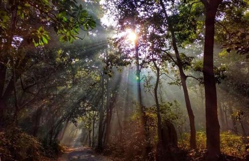 Bail Parao House | Corbett Green Orchard