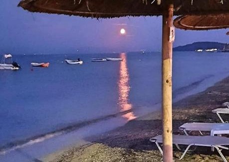 Moraitika Apartment | Corfu Olivia Apartments