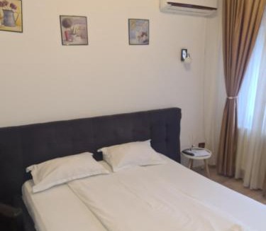 Craiova House | Corina House
