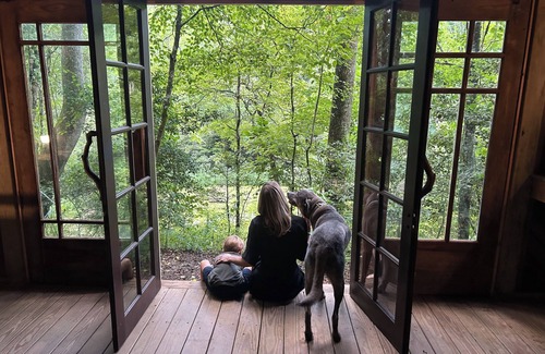 Zirconia Cabin | Corn Crib- 38 acres- hiking, mountain biking, waterfall