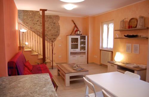 Cola House | Corte Colori