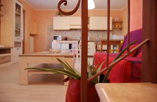 Cola House | Corte Colori