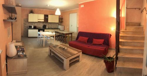 Cola House | Corte Colori