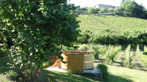 Rocchetta Belbo House | Corte di Langa
